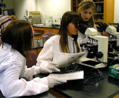 Kid in school looking in a microscope